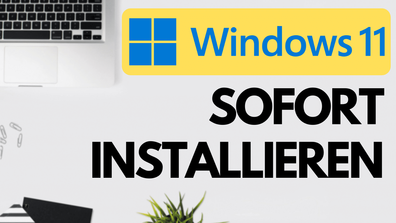 Windows 11 sofort installieren