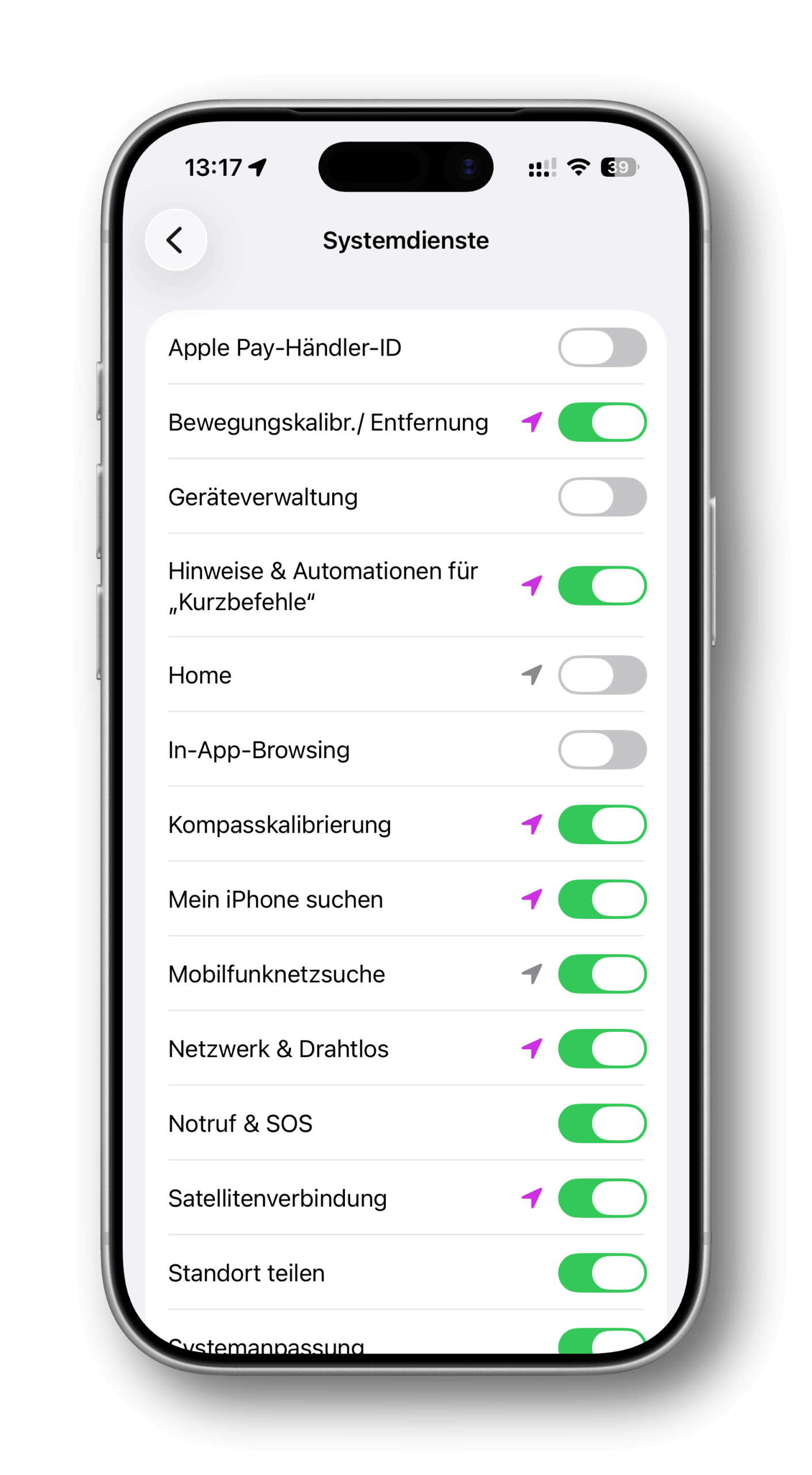 Die Liste der iPhone-Systemdienste in den Einstellungen